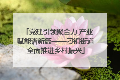 党建引领聚合力 产业赋能谱新篇——刁镇街道全面推进乡村振兴