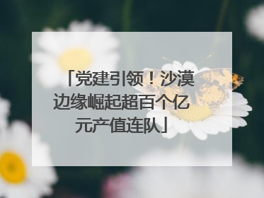 党建引领！沙漠边缘崛起超百个亿元产值连队