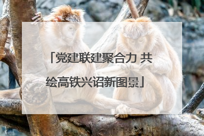 党建联建聚合力 共绘高铁兴诏新图景