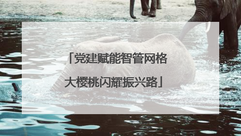 党建赋能智管网格 大樱桃闪耀振兴路