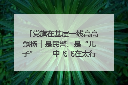 党旗在基层一线高高飘扬｜是民警、是“儿子”——申飞飞在太行山中的一线坚守