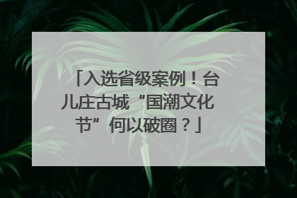 入选省级案例！台儿庄古城“国潮文化节”何以破圈？