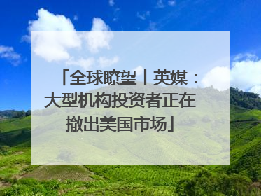 全球瞭望丨英媒：大型机构投资者正在撤出美国市场