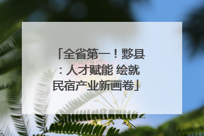 全省第一！黟县：人才赋能 绘就民宿产业新画卷