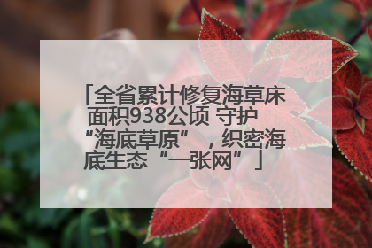 全省累计修复海草床面积938公顷 守护“海底草原”，织密海底生态“一张网”