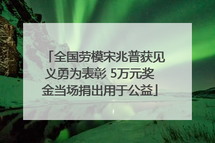 全国劳模宋兆普获见义勇为表彰 5万元奖金当场捐出用于公益