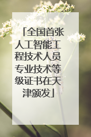 全国首张人工智能工程技术人员专业技术等级证书在天津颁发