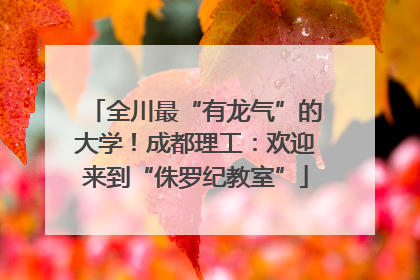 全川最“有龙气”的大学！成都理工：欢迎来到“侏罗纪教室”