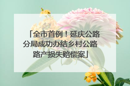 全市首例！延庆公路分局成功办结乡村公路路产损失赔偿案