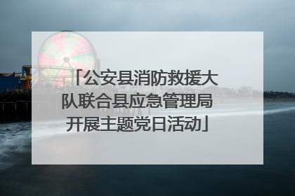 公安县消防救援大队联合县应急管理局开展主题党日活动