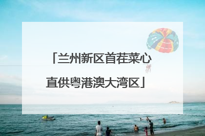 兰州新区首茬菜心直供粤港澳大湾区