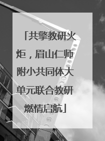共擎教研火炬,眉山仁师附小共同体大单元联合教研燃情启航