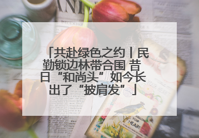 共赴绿色之约丨民勤锁边林带合围 昔日“和尚头”如今长出了“披肩发”
