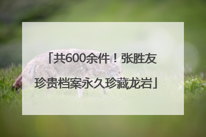 共600余件！张胜友珍贵档案永久珍藏龙岩