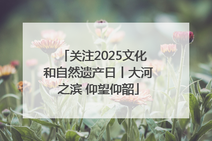 关注2025文化和自然遗产日丨大河之滨 仰望仰韶