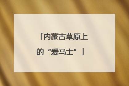 内蒙古草原上的“爱马士”