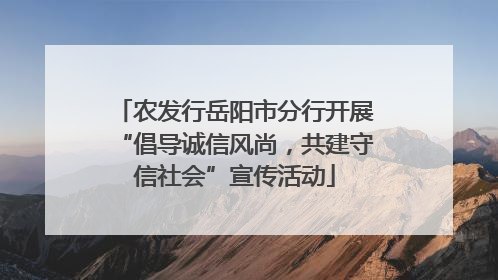 农发行岳阳市分行开展“倡导诚信风尚，共建守信社会”宣传活动