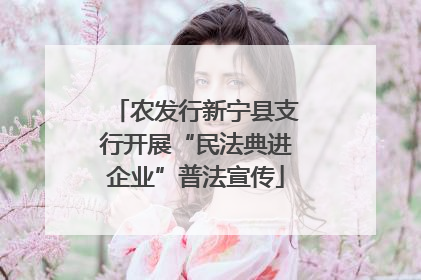 农发行新宁县支行开展“民法典进企业”普法宣传