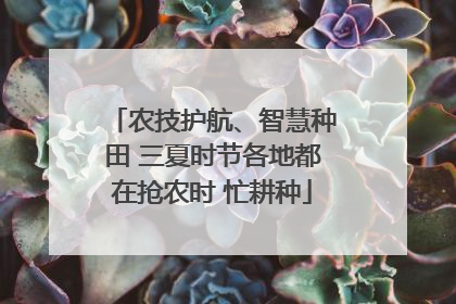 农技护航、智慧种田 三夏时节各地都在抢农时 忙耕种