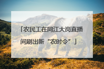 农民工在同江大岗直播间刷出新“农时令”