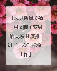 凤县留凤关镇：村委院子变身晒麦场 扎实推进“三夏”抢收工作