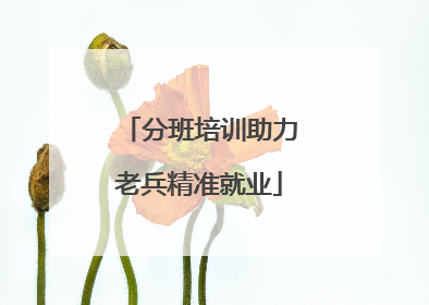 分班培训助力老兵精准就业
