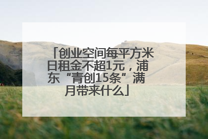 创业空间每平方米日租金不超1元，浦东“青创15条”满月带来什么