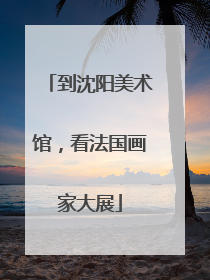 到沈阳美术馆，看法国画家大展