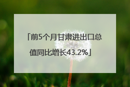 前5个月甘肃进出口总值同比增长43.2%