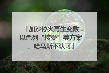 加沙停火再生变数：以色列“接受”美方案、哈马斯不认可