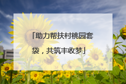 助力帮扶村桃园套袋，共筑丰收梦