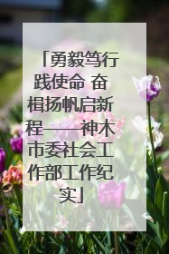 勇毅笃行践使命 奋楫扬帆启新程——神木市委社会工作部工作纪实