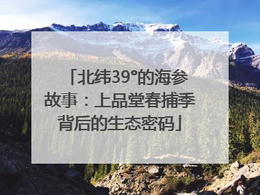 北纬39°的海参故事：上品堂春捕季背后的生态密码