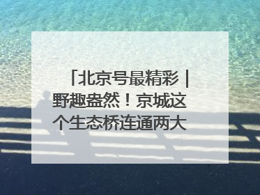 北京号最精彩｜野趣盎然！京城这个生态桥连通两大网红公园