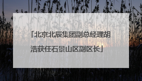 北京北辰集团副总经理胡浩获任石景山区副区长