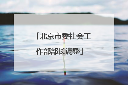 北京市委社会工作部部长调整
