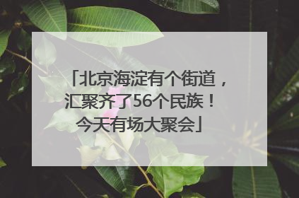 北京海淀有个街道，汇聚齐了56个民族！今天有场大聚会