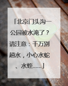 北京门头沟一公园被水淹了？请注意：千万别趟水，小心水蛇、水蛭……