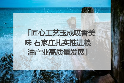 匠心工艺玉成喷香美味 石家庄扎实推进粮油产业高质量发展