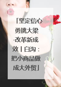 坚定信心 勇挑大梁·改革新成效丨白沟：把小商品做成大外贸
