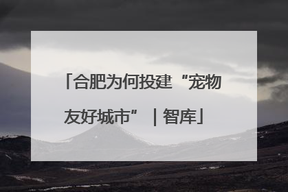 合肥为何投建“宠物友好城市”｜智库
