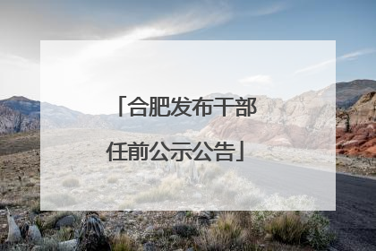 合肥发布干部任前公示公告
