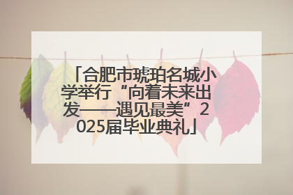 合肥市琥珀名城小学举行“向着未来出发——遇见最美”2025届毕业典礼