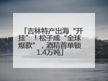 吉林特产出海“开挂”！松子成“全球爆款”，酒精首单锁1.4万吨