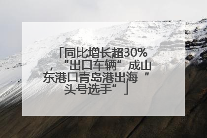 同比增长超30%，“出口车辆”成山东港口青岛港出海“头号选手”