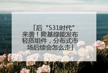 后“531时代”来袭！隆基绿能发布轻质组件，分布式市场后续会怎么走