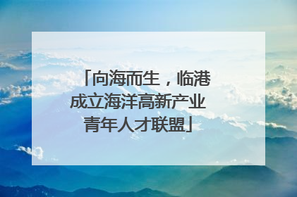向海而生，临港成立海洋高新产业青年人才联盟