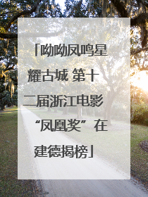 呦呦凤鸣星耀古城 第十二届浙江电影“凤凰奖”在建德揭榜