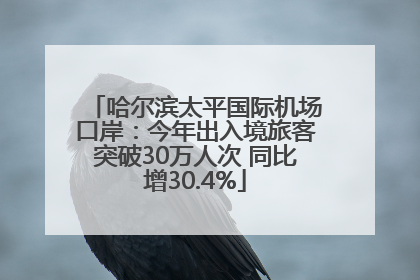 哈尔滨太平国际机场口岸：今年出入境旅客突破30万人次 同比增30.4%