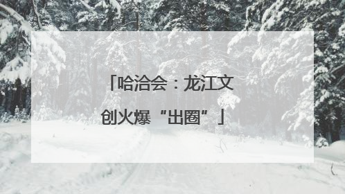 哈洽会：龙江文创火爆“出圈”